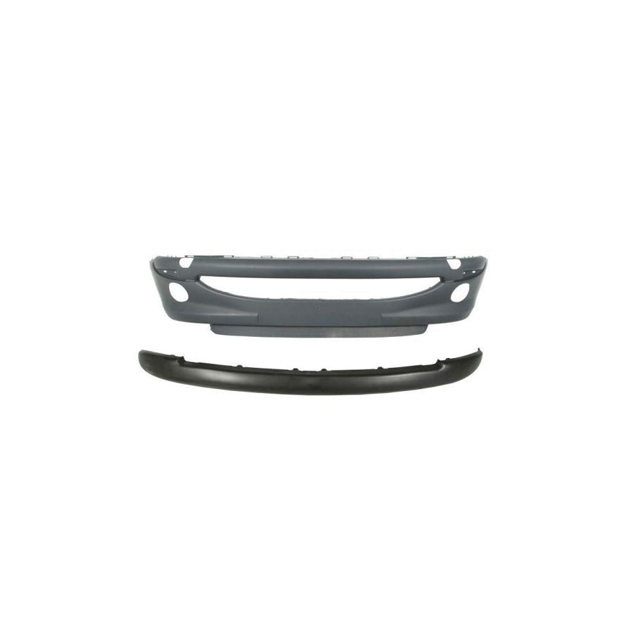 Blic 5510-00-5507902Q Bumper for Peugeot 206