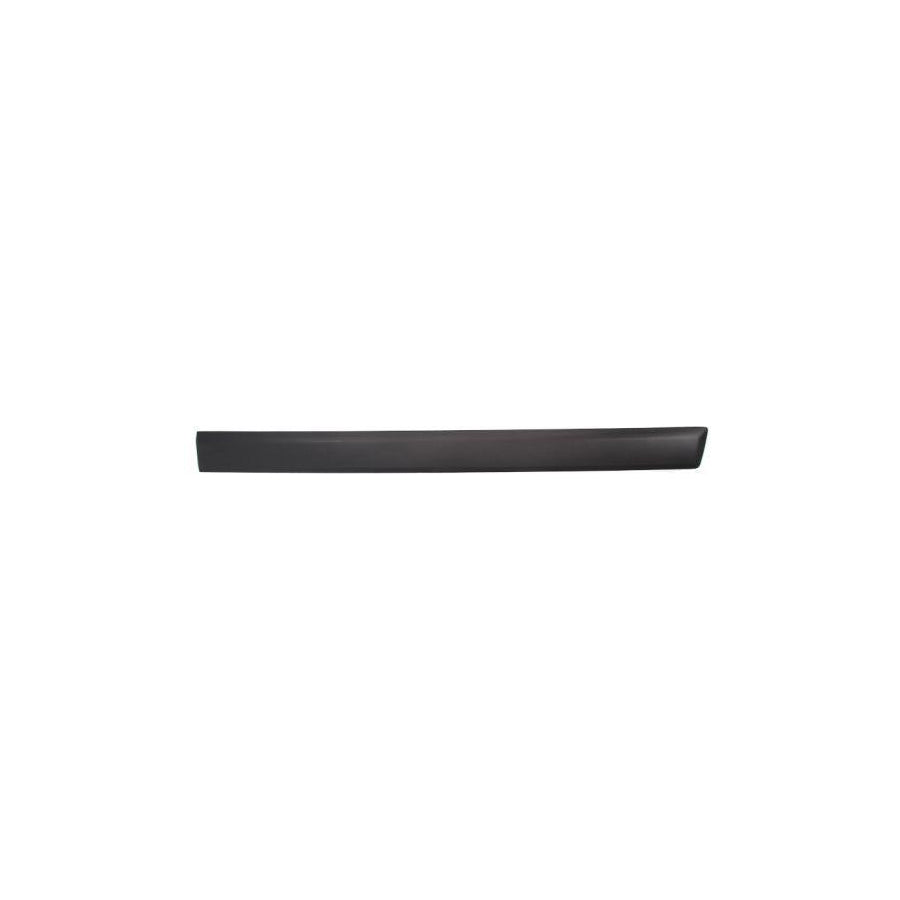 Blic 5703-04-2576572Pp Door Molding for Ford Fusion Estate (Ju2)