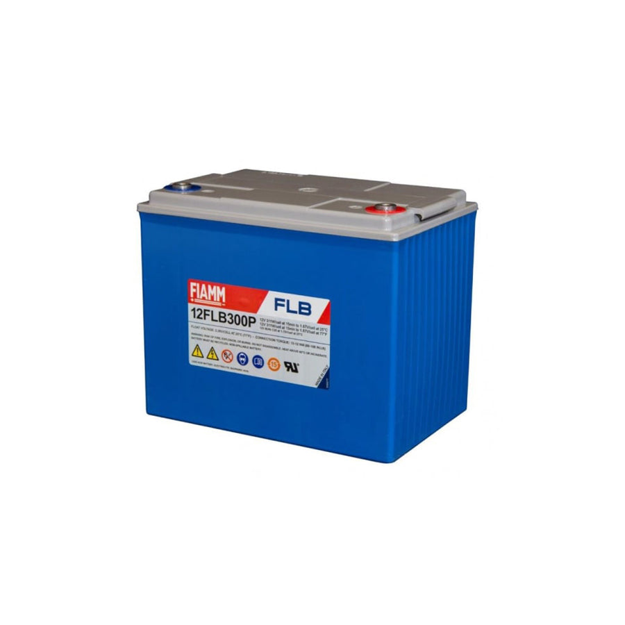 Fiamm FLB VRLA Battery - 12FLB300P