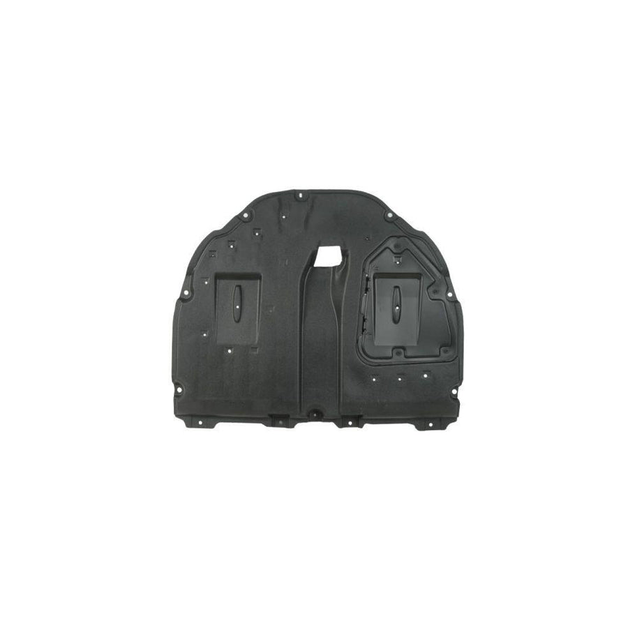 Blic 6601-02-8141873P Engine Cover