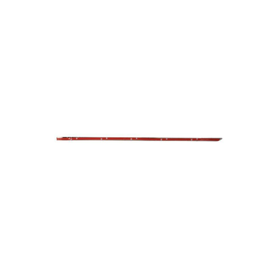 Blic 5703-04-3518574P Door Molding Suitable for Mercedes-Benz C-Class