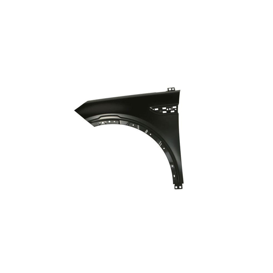 Blic 6508-03-0095377P Splash Panel, Brake Disc for BMW X5 (E53)