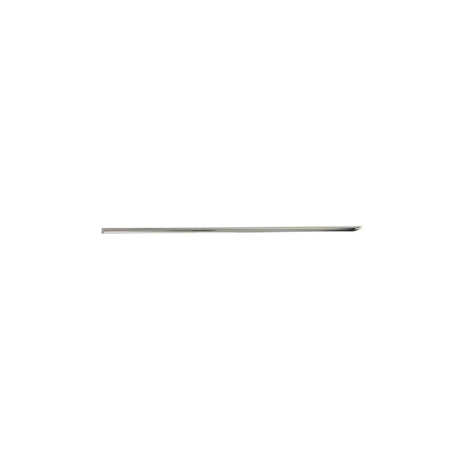 Blic 5703-04-3518573P Door Molding Suitable for Mercedes-Benz C-Class