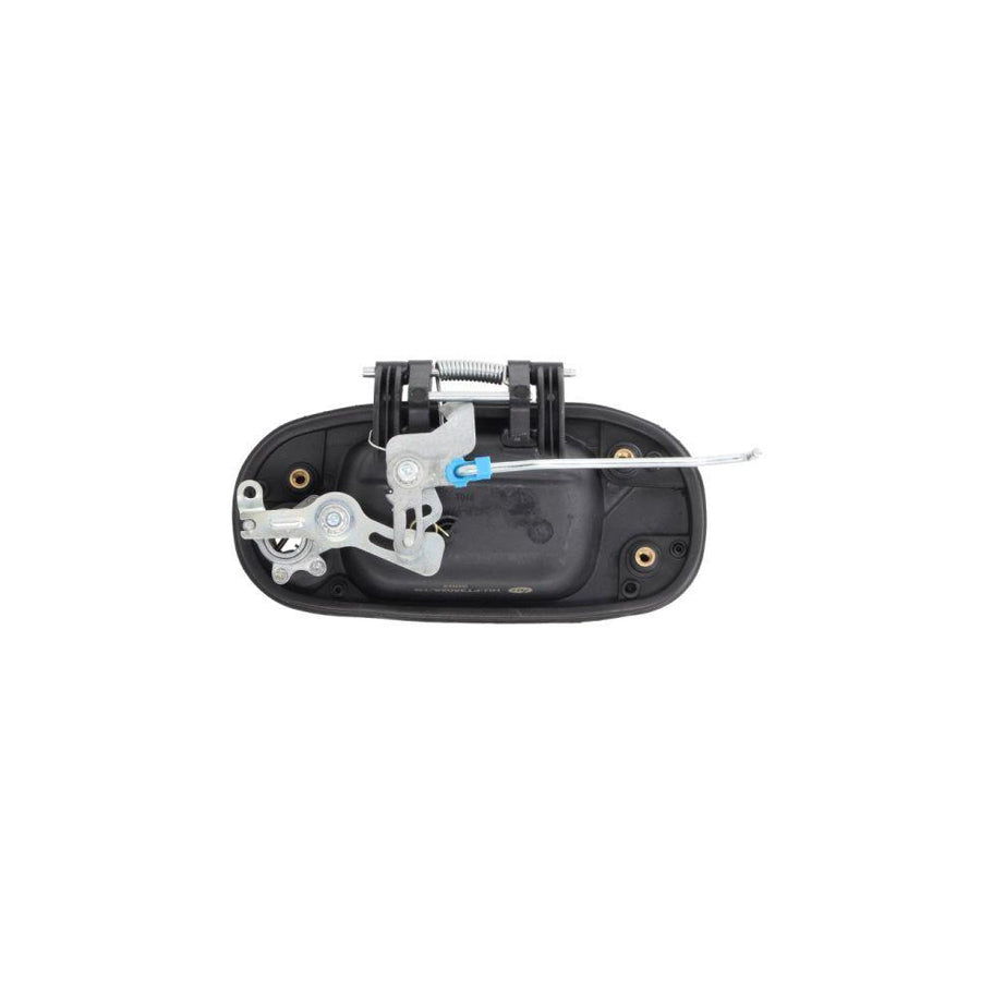 Blic 6010-07-029417Pp Door Handle for Fiat Doblo