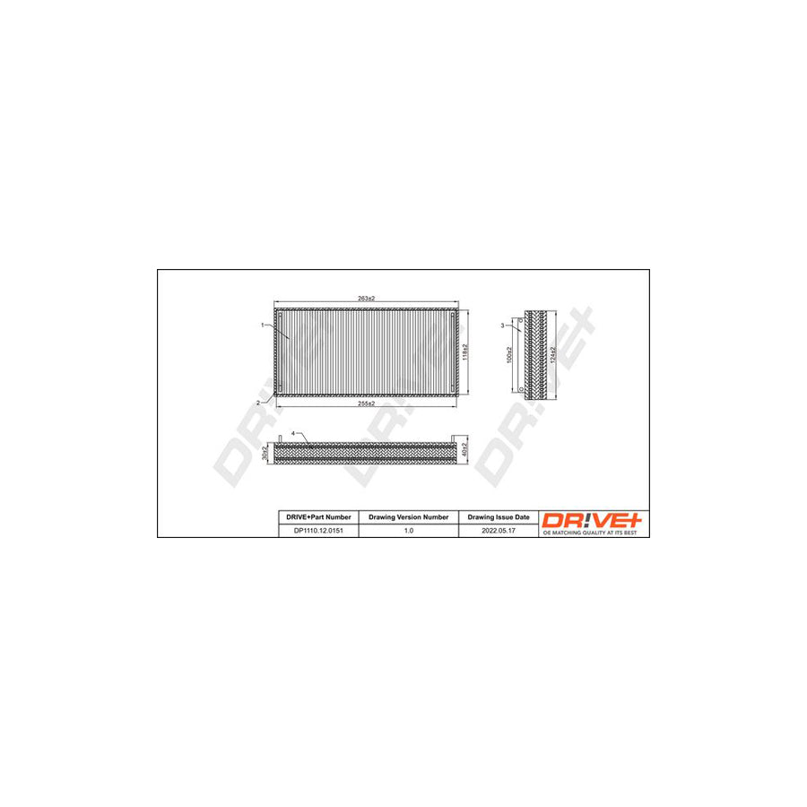 Dr!Ve+ DP1110.12.0151 Pollen Filter