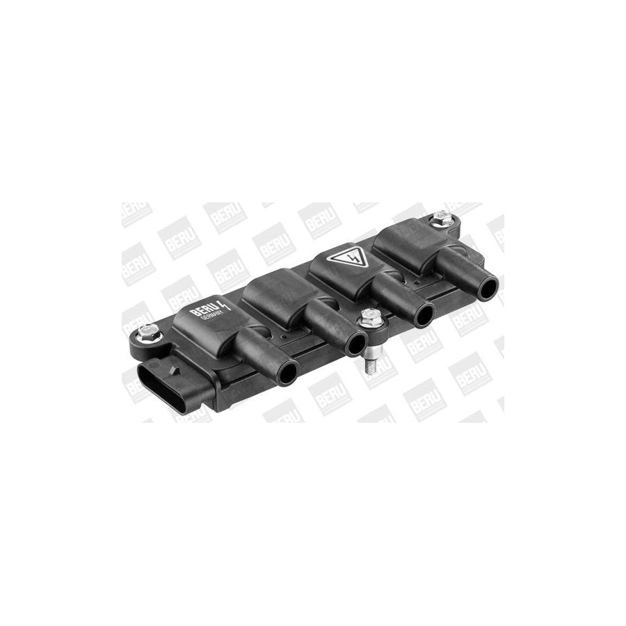 Beru Ger003 Alternator Regulator