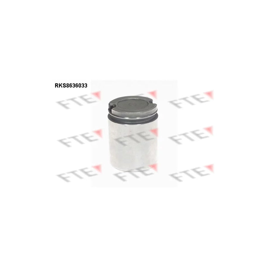 FTE Rks8636033 Piston, Brake Caliper