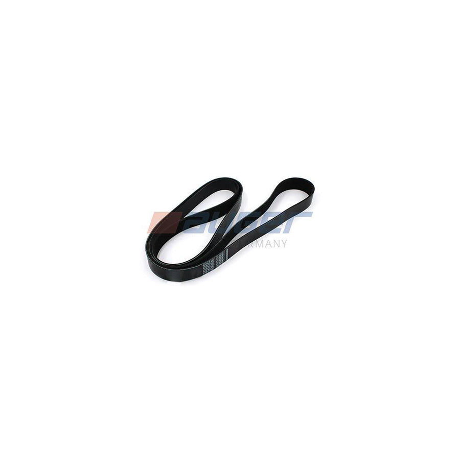 Auger 80111 V-Ribbed Belt