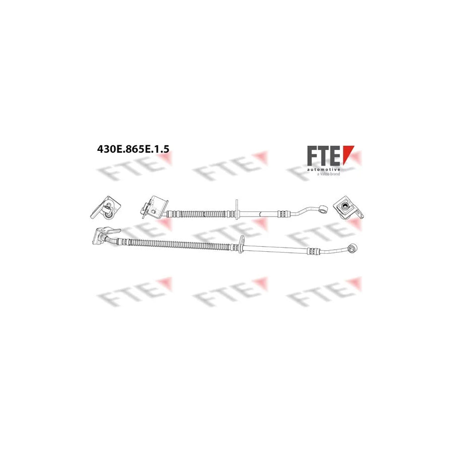 FTE 9240957 Brake Hose for Hyundai Accent
