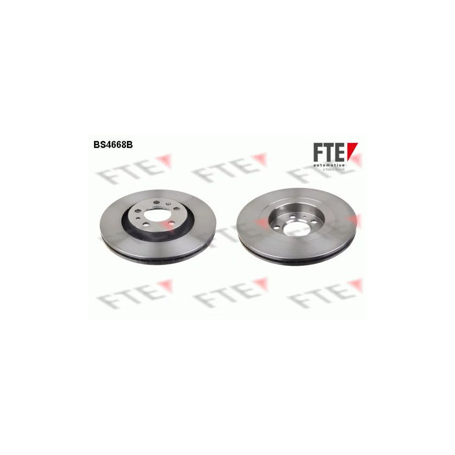 FTE Bs4668B Brake Disc