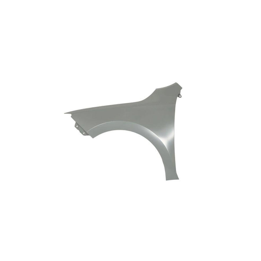 Blic 6504-04-7516313P Wing Fender for Skoda Rapid