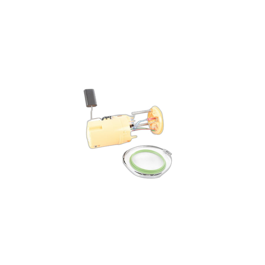 Genuine BMW 16117324296 F15 F16 Delivery Unit With In-Tank Pump, Right (Inc. X5 25dX)