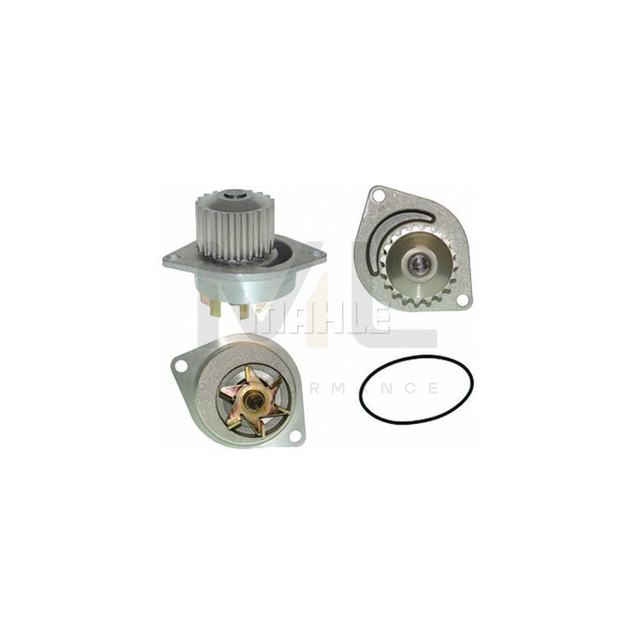 MAHLE ORIGINAL CP 50 000P Water Pump Teeth Quant.: 19 | ML Performance Car Parts