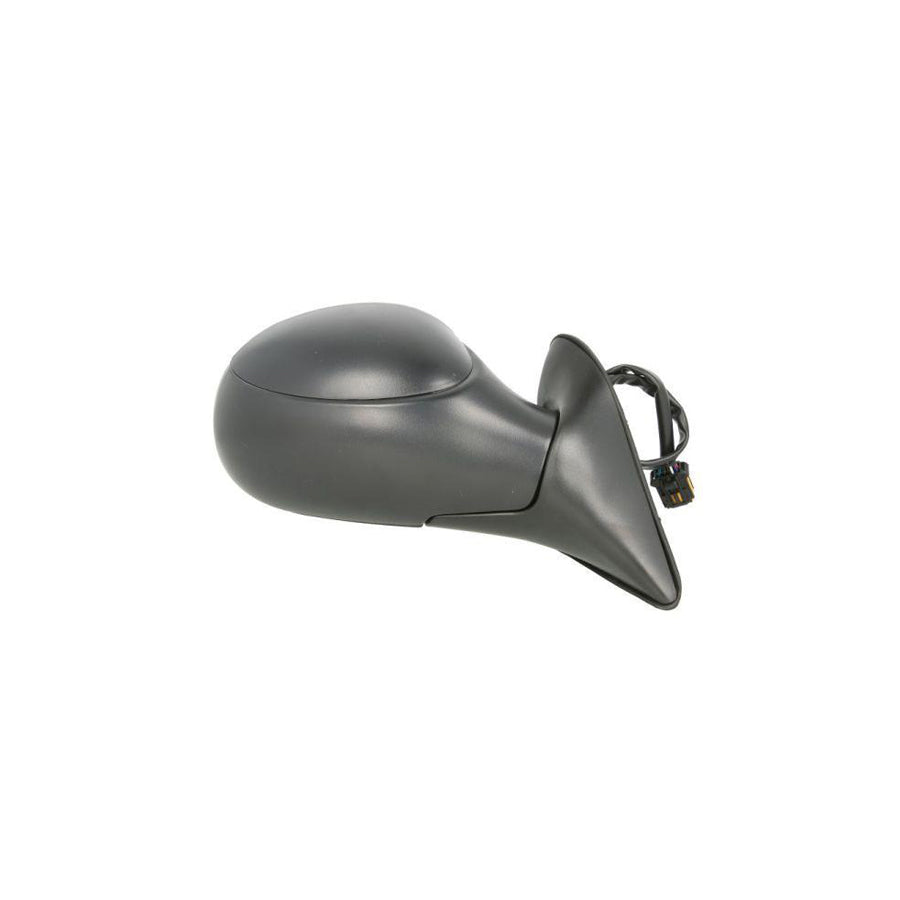 Blic 5402-04-1192339 Wing Mirror for Citroen Xsara Picasso (N68)