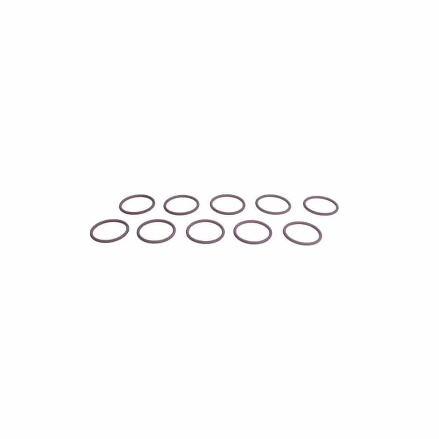 Delphi 7200-0053 Seal Ring, Injector
