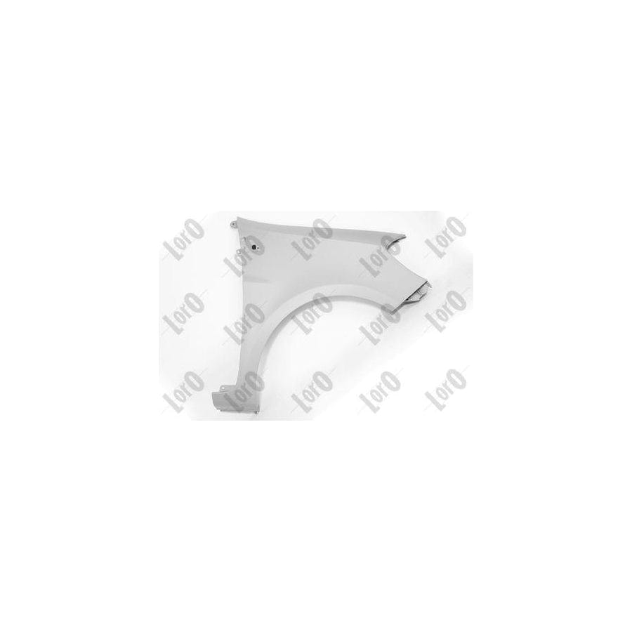 Abakus 04233252 Wing Fender for Renault Clio