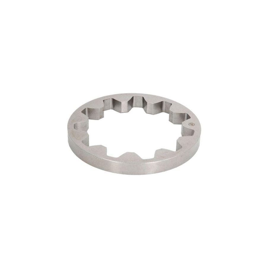 BTA B06-2033 Shaft Seal, Wheel Bearing