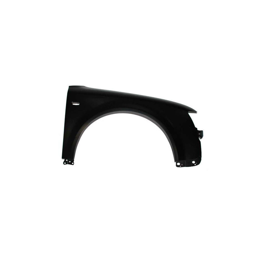 Blic 6504-04-0019312P Wing Fender for Audi A4