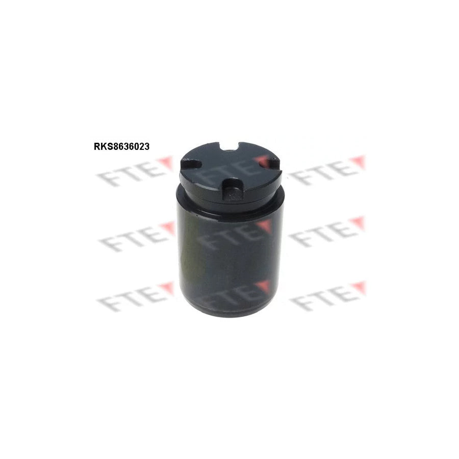 FTE Rks8636023 Piston, Brake Caliper