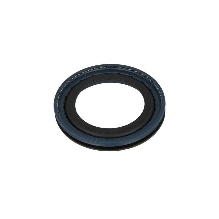 BTA B06-2058 Shaft Seal, Wheel Hub