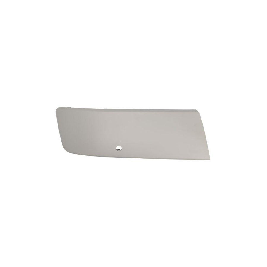 Blic 5510-00-9568928P Bumper Moulding