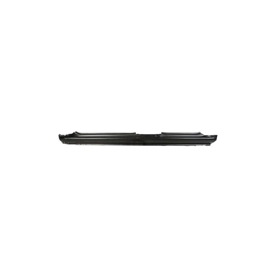 Blic 6601-01-6030802Q Repair Panel For Renault Symbol / Thalia Ii