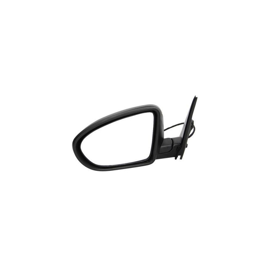 Blic 5402-16-040361P Wing Mirror for Nissan Qashqai / Qashqai 2 I (J10, Nj10)