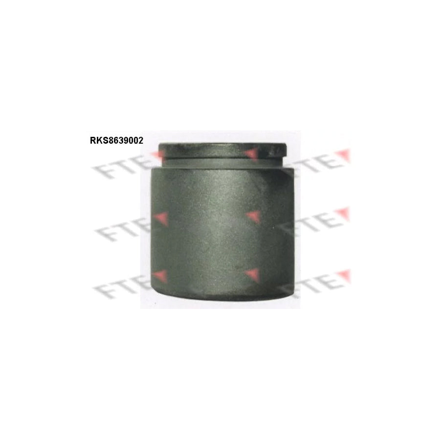 FTE Rks8639002 Piston, Brake Caliper