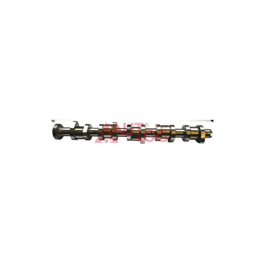 Autlog Nw5021 Camshaft