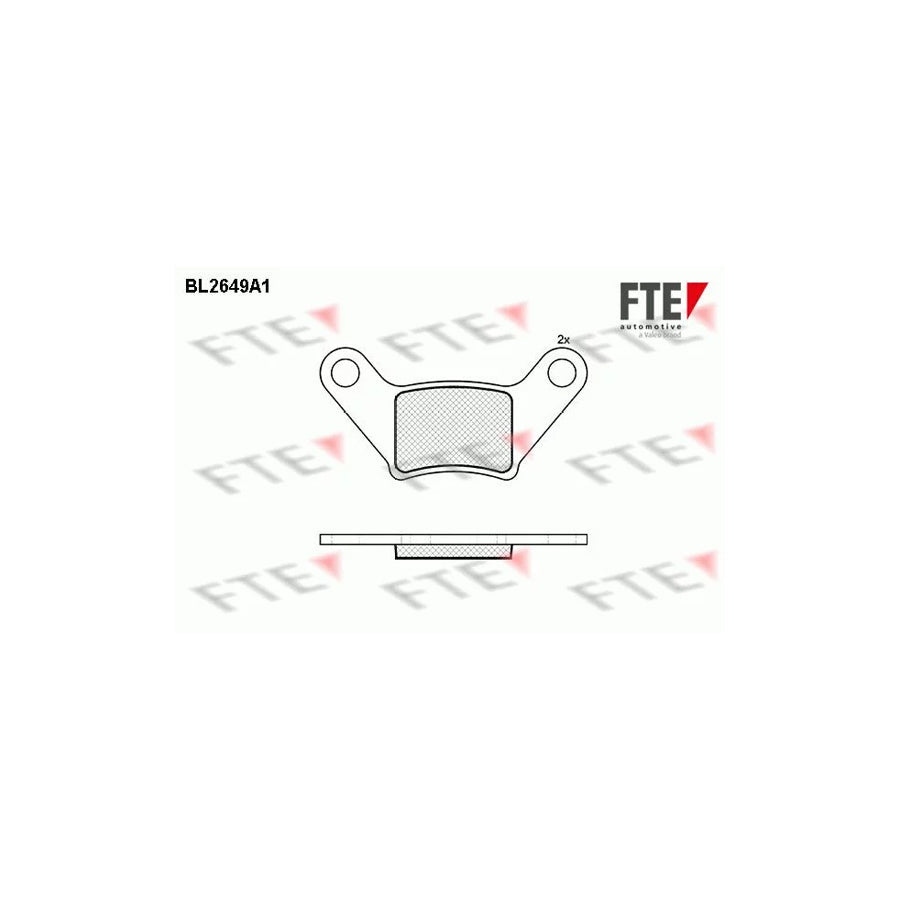 FTE 9011084 Brake Pad Set for Piaggio M500 Hatchback