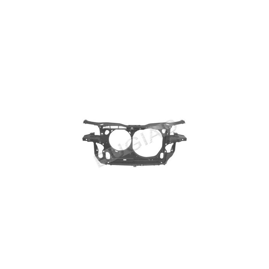BUGIAD Bsp20939 Front Cowling for VW Passat