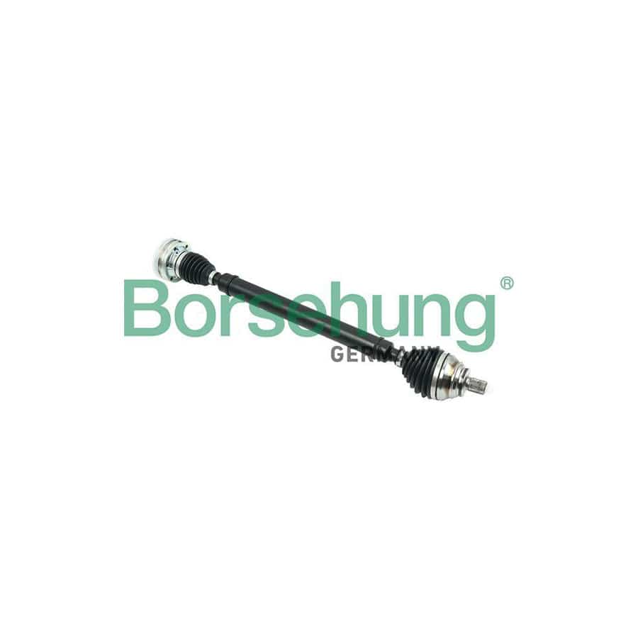 Borsehung B17859 Drive Shaft for VW Passat