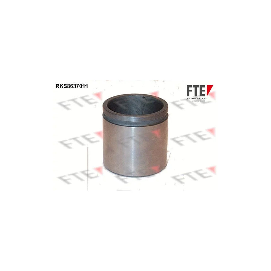 FTE Rks8637011 Piston, Brake Caliper