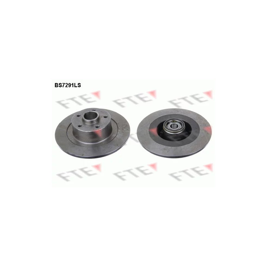 FTE Bs7291Ls Brake Disc for Renault Laguna III Coupe (Dt)
