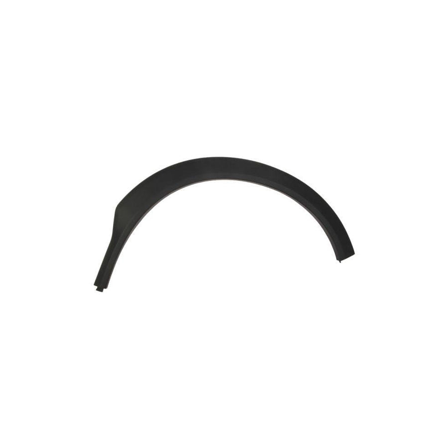 Blic 5703-06-6735572P Trim / Protective Strip, Mudguard