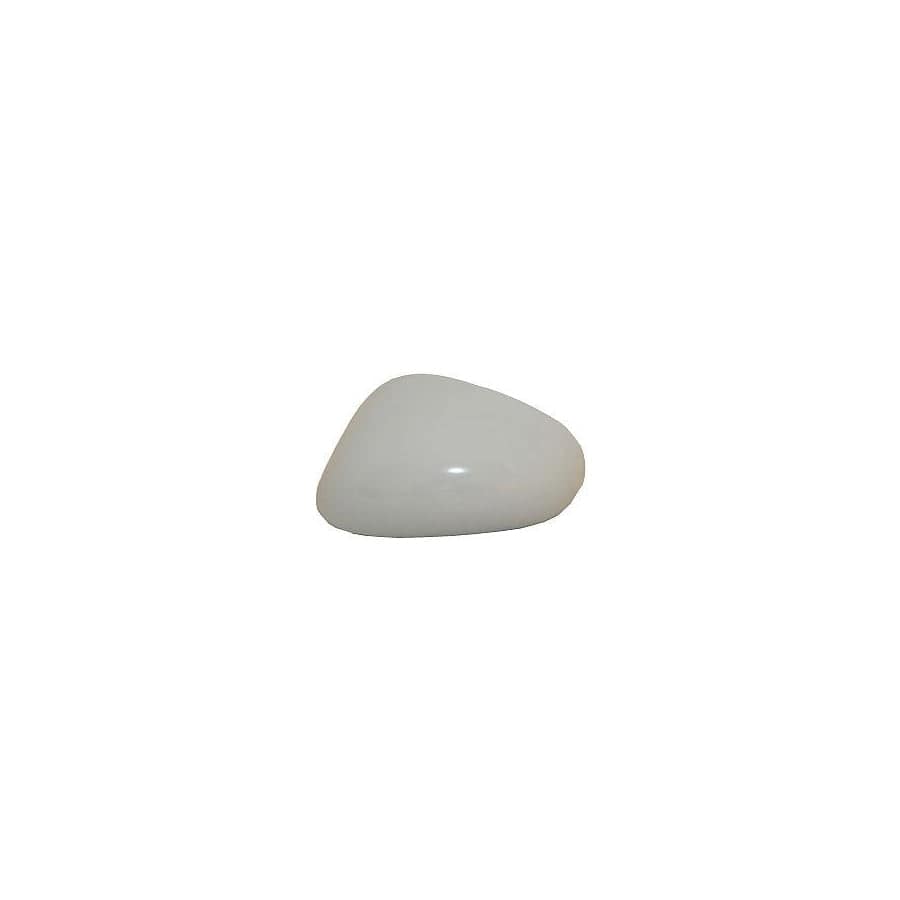Abakus 3425C01 Cover, Outside Mirror for Seat Leon II Hatchback (1P1)