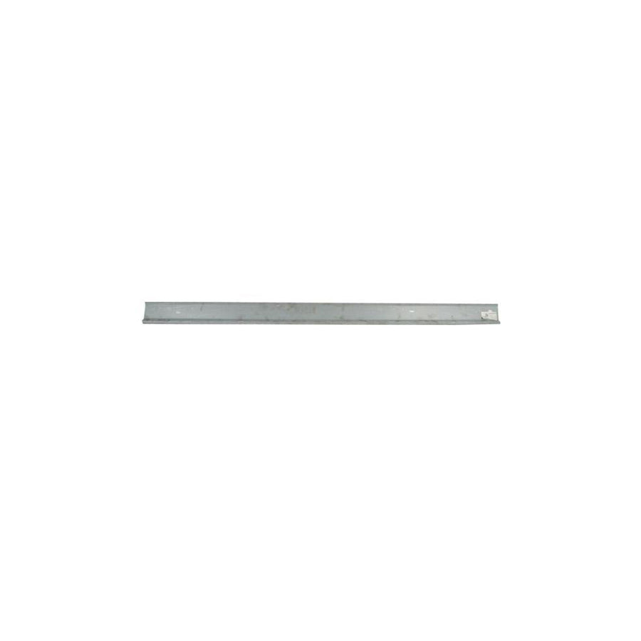Blic 6601-01-6033831P Repair Panel For Renault Clio