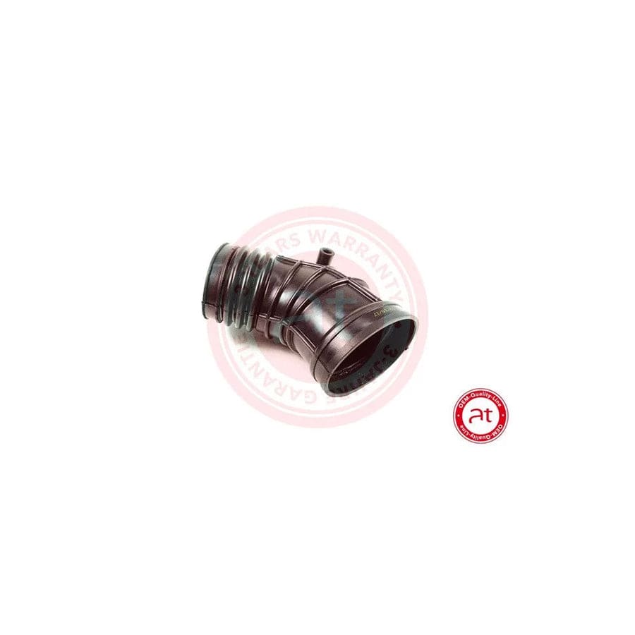 at autoteile germany At20273 Intake Pipe, Air Filter