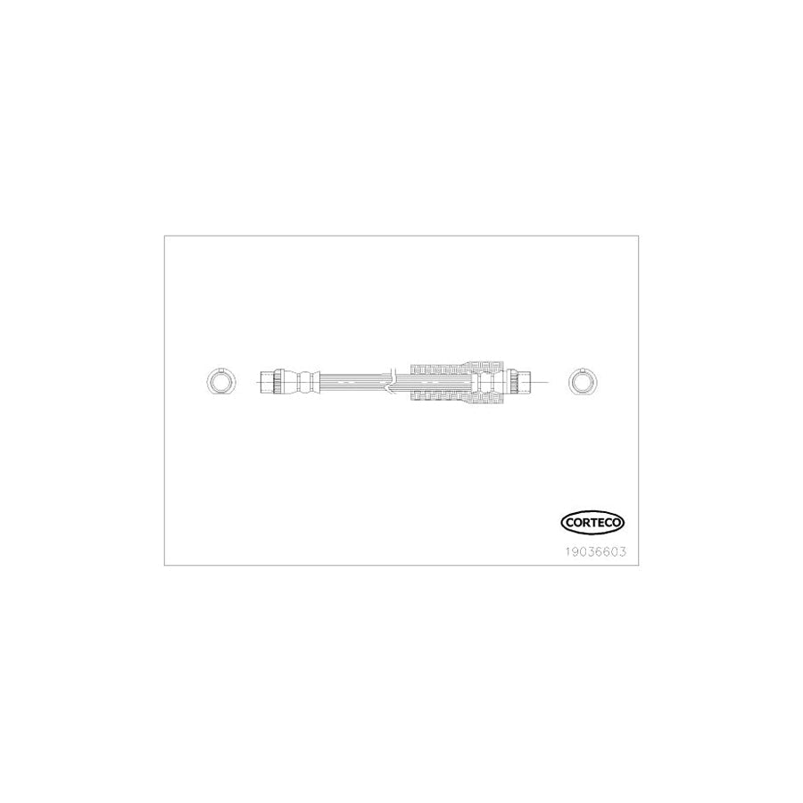 Corteco 19036603 Brake Hose