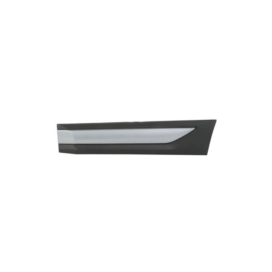 Blic 5703-04-3753573P Door Molding for Mitsubishi Outlander III Off-Road (Gg, Gf)