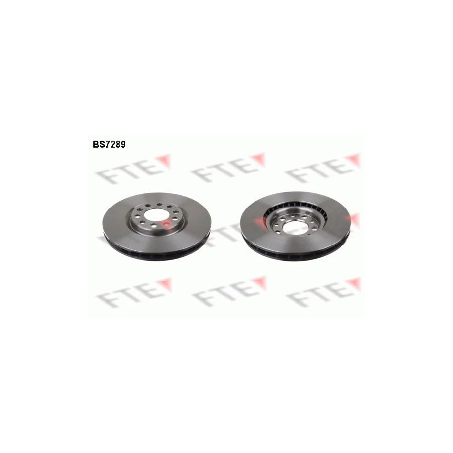 FTE Bs7289 Brake Disc