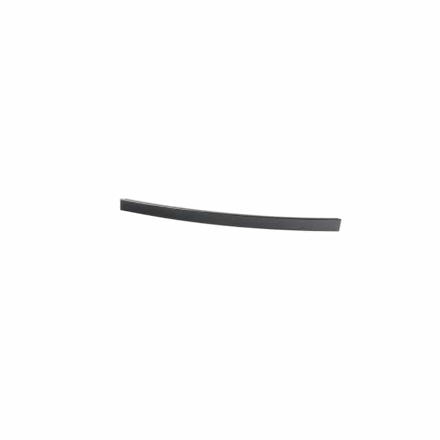 Genuine BMW 51357897675 E60 Window Guide Web Cover Left GLANZSCHWARZ (Inc. 550i, 525xi & M5)