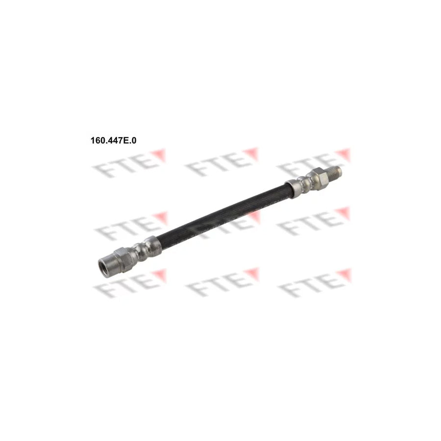 FTE 160.447E.0 Brake Hose