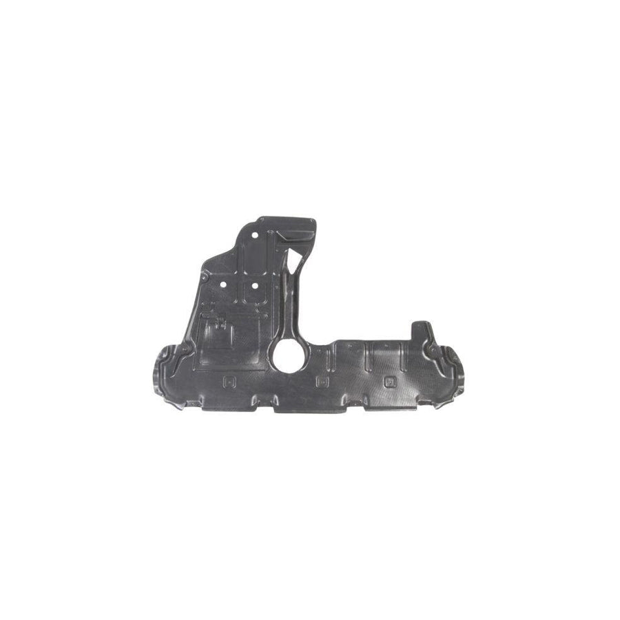 Blic 6601-02-8179860P Engine Cover for Toyota Rav4 III Off-Road (Xa30)