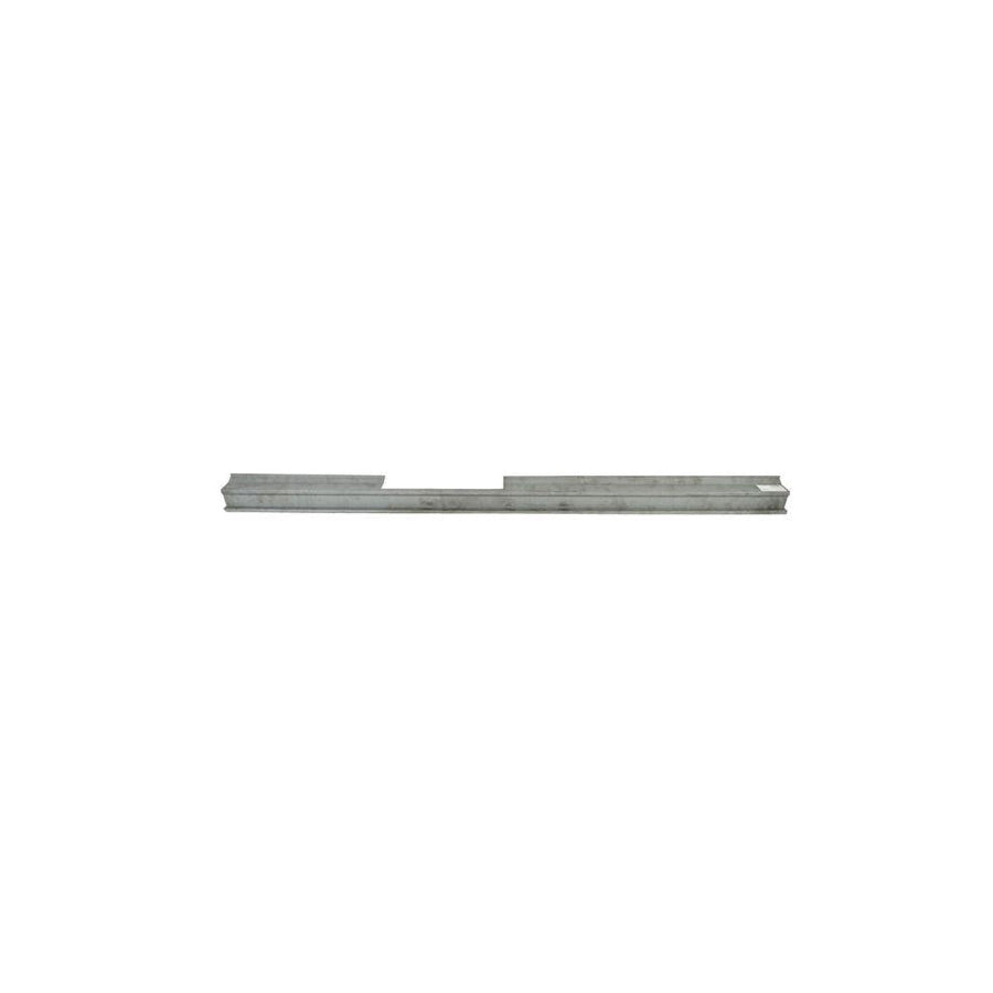 Blic 6601-01-6033817P Repair Panel For Renault Clio