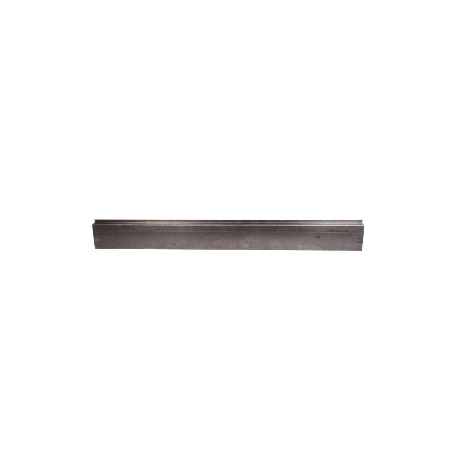 Blic 1020-42-011343P Rocker Panel for Daewoo Tacuma (U100)