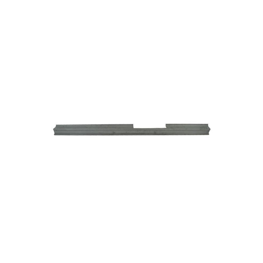 Blic 6601-01-6033814P Repair Panel For Renault Clio