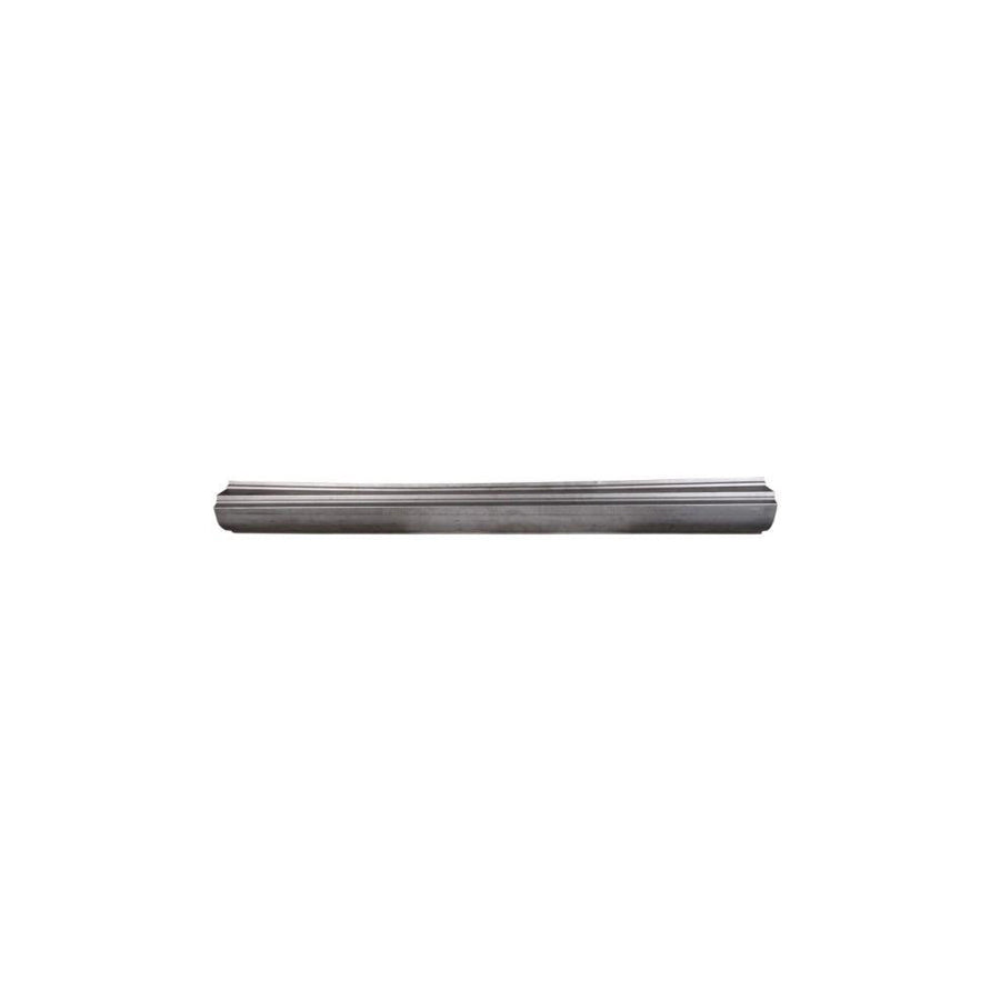 Blic 1020-42-011341P Rocker Panel for Daewoo Tacuma (U100)
