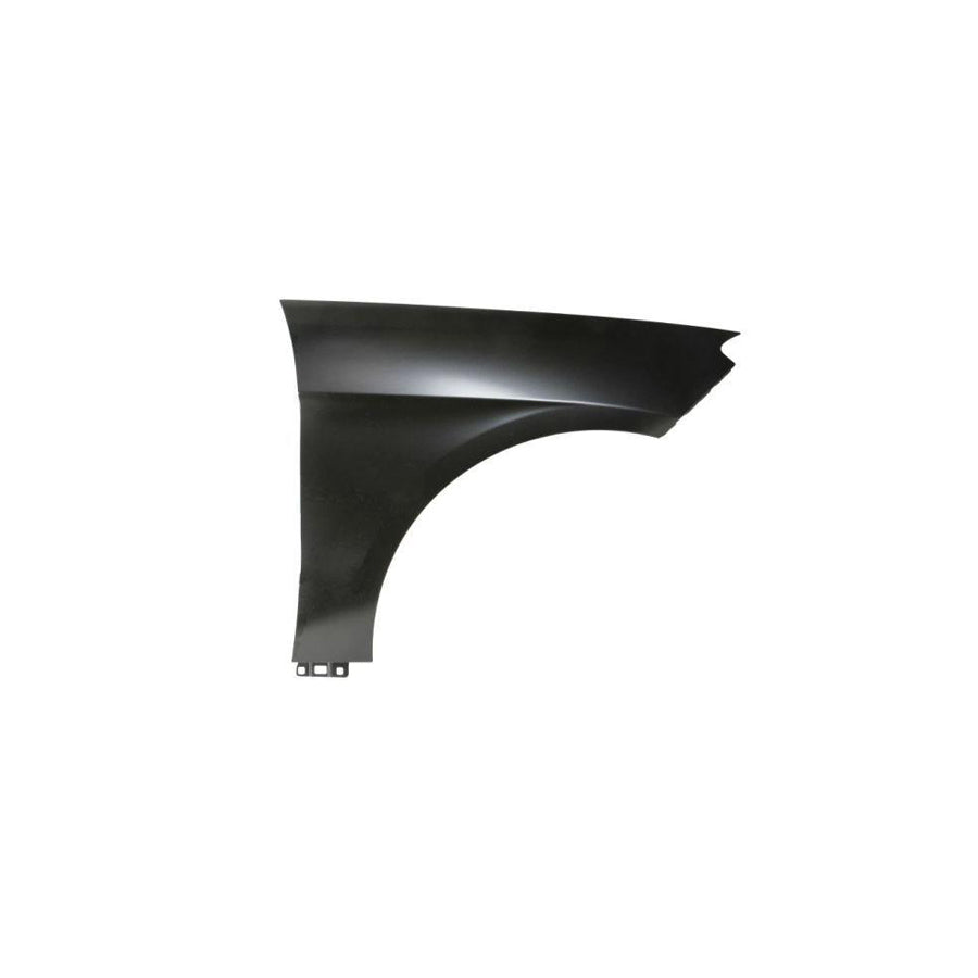 Blic 6601-01-6033813P Repair Panel For Renault Clio