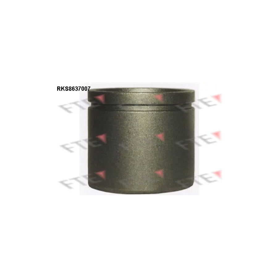 FTE Rks8637007 Piston, Brake Caliper
